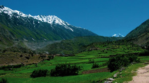 Rupal Valley